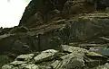 Kef Mektouba de Ksar el Hamar, bubales et « gynanthrope »