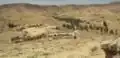 Ksar Hallouf (panoramique) (Tunisie).