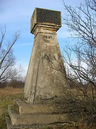Patoki (Łowicz)