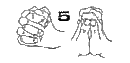 皆