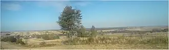 Kukawka (Lublin)