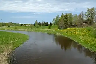 Saare (Jõgeva)