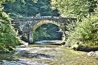Kumanica