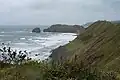 Vue des côtes de l'île Kounachir prise par le président russe Dmitri Medvedev en novembre 2010.