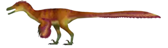 Description de l'image Kuru UDL (flipped).png.