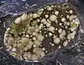 Kutnohorite Cantal France (Vue;10,2&nbsp;cm)