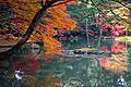 Paysage d'automne (Kyoto).