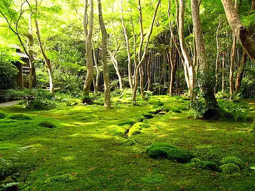 Jardin de mousses du Saihō-ji, XVIe&nbsp;siècle.