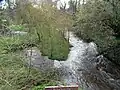 Le Léguer près de Trobodec.