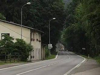 Líšný