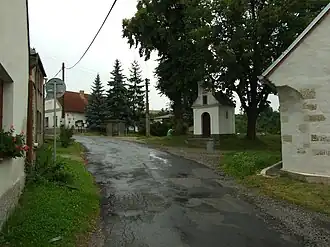 Líský