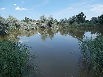 Parc Lóusztató.