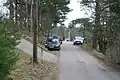 La route desservant l'île