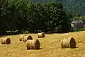 Boules de paille et l'église.