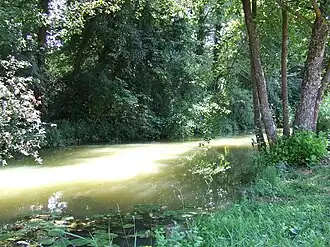 L'Ouanne à Toucy.
