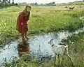 L'ami farouche