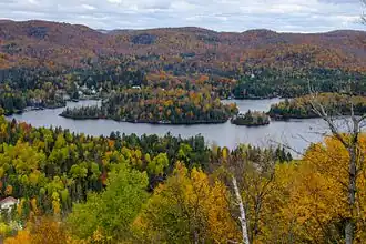 Couleurs dans un parc national.