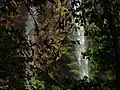 L'eau dans la grotte.