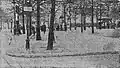 Emplacement où a été attaqué Armand Fallières (L'Humanité, 1908).