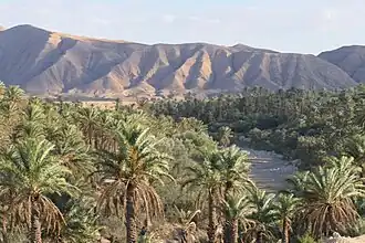 Oasis à Sièr.