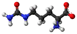 Image illustrative de l’article Citrulline