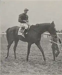 Image illustrative de l’article Tourbillon (cheval)