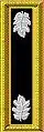 Lieutenant colonel staff officer