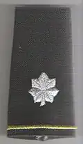 Lt colonel