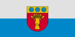 Drapeau de Rūjiena