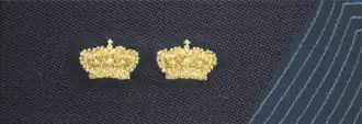 CP polloc