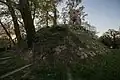 Les ruines du donjon de Chevré et sa motte féodale en 2017 .