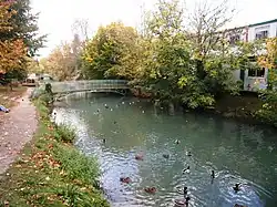 L’Essonne à La Ferté-Alais.