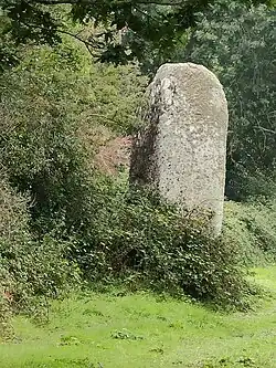 Longue Pierre