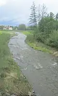 La Brévennes à L'Arbesle