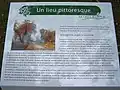 Information sur le site.