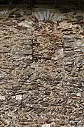 Trace de fenêtre murée dans le mur sud
