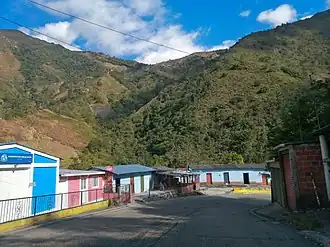 Bucarasica