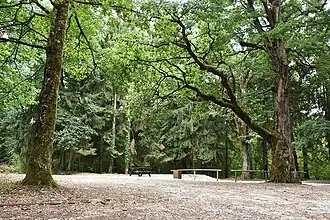 La Danse.