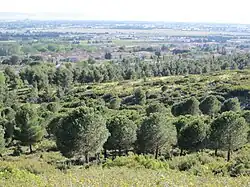 Vue générale.