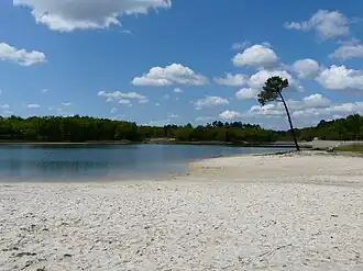 L'étang de la Jemaye, en forêt de la Double (Dordogne).