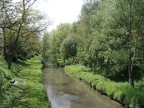 La Lawe.