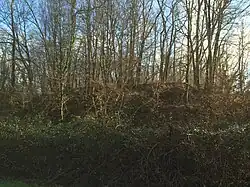 La motte féodale