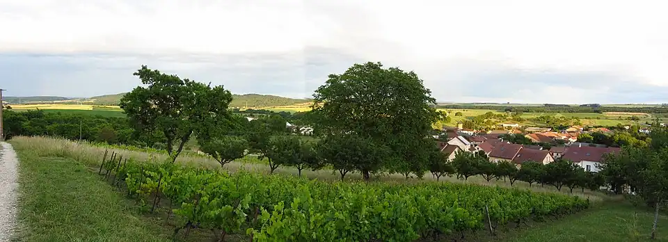 Vue panoramique