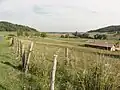 Pâturage à l'ouest de Laneuveville-derrière-Foug.