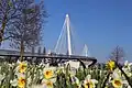 La passerelle au Printemps.