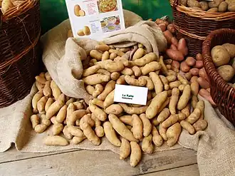 Image illustrative de l’article Ratte (pomme de terre)