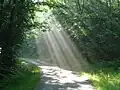 La Rebeyrolle, ambiance matinale sur le chemin de Saint Jacques de Compostelle