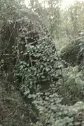 Roue à aubes.