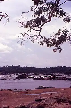 Photographie de rapides sur un fleuve africain.
