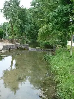 La Sarce.